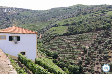 Quinta Do Monte Bravo - Douro - Quarto Duplo Villa Ervedosa do Douro Kültér fotó
