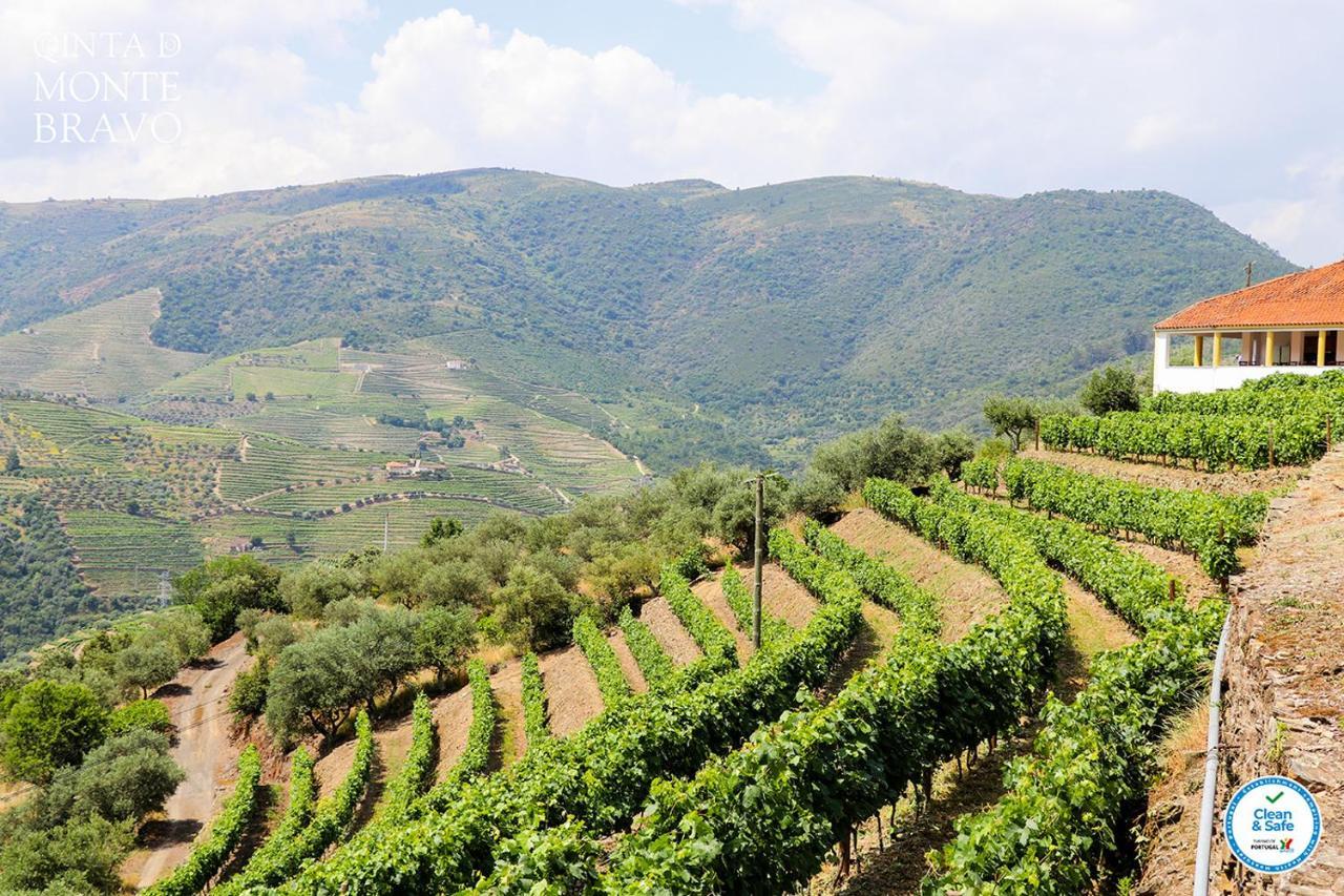 Quinta Do Monte Bravo - Douro - Quarto Duplo Villa Ervedosa do Douro Kültér fotó