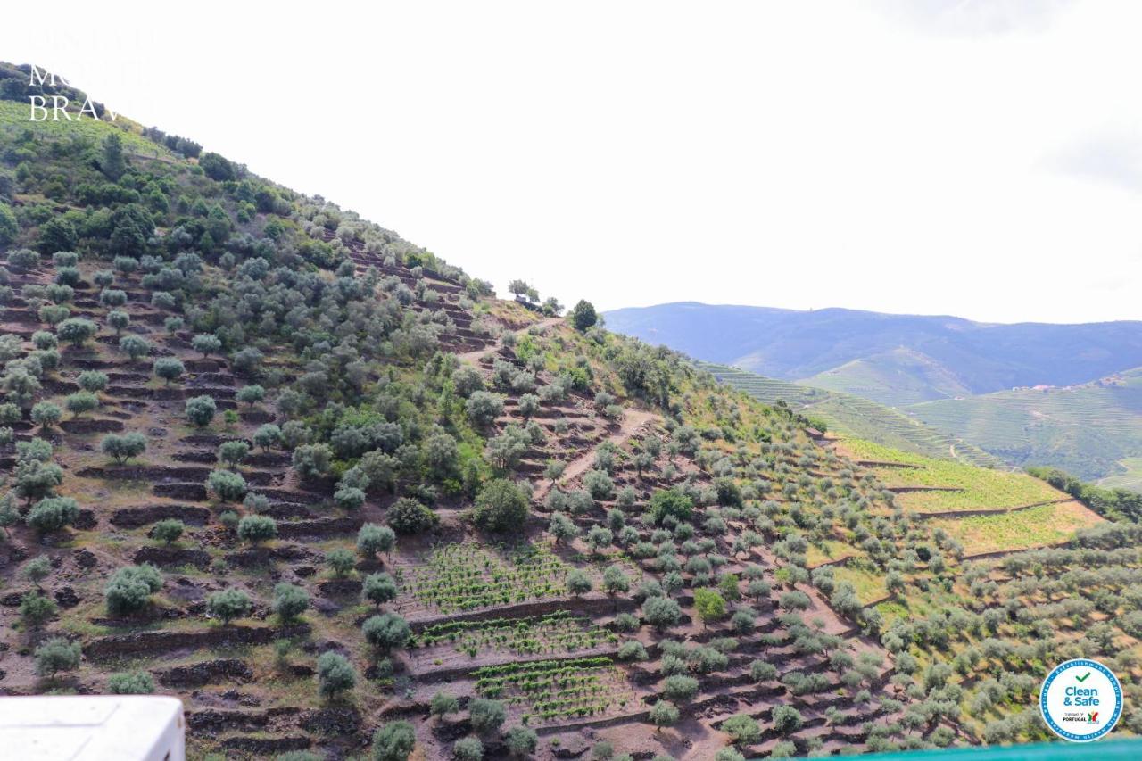 Quinta Do Monte Bravo - Douro - Quarto Duplo Villa Ervedosa do Douro Kültér fotó