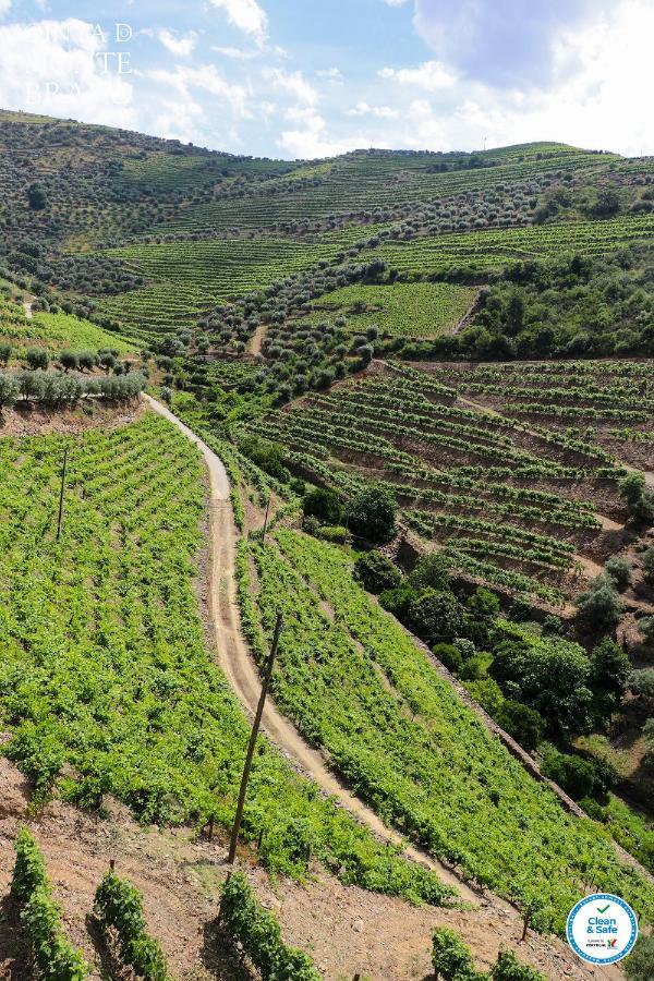 Quinta Do Monte Bravo - Douro - Quarto Duplo Villa Ervedosa do Douro Kültér fotó