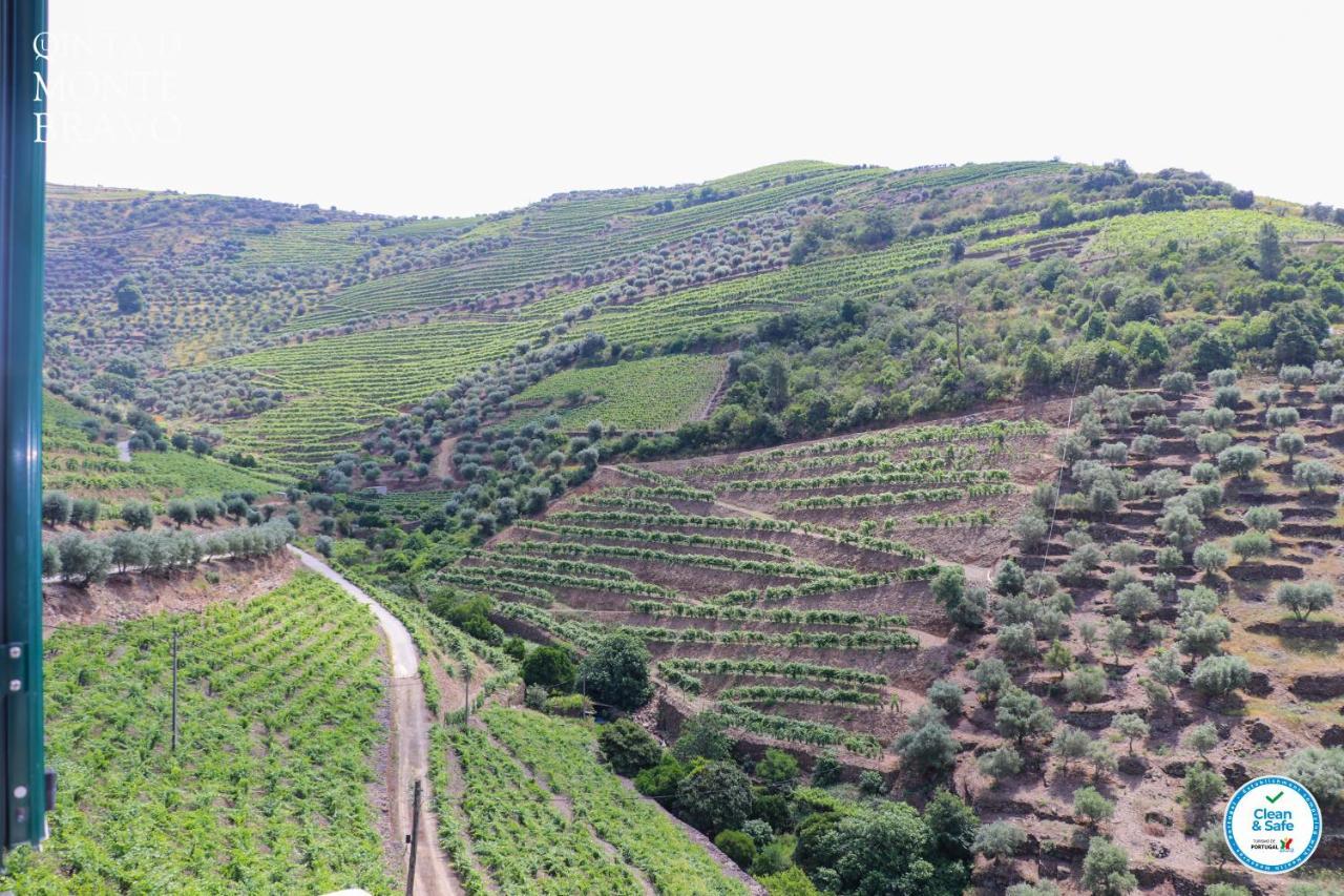 Quinta Do Monte Bravo - Douro - Quarto Duplo Villa Ervedosa do Douro Kültér fotó